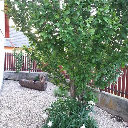 Csonakos Vendeghaz Εξοχικό σπίτι Tiszafüred